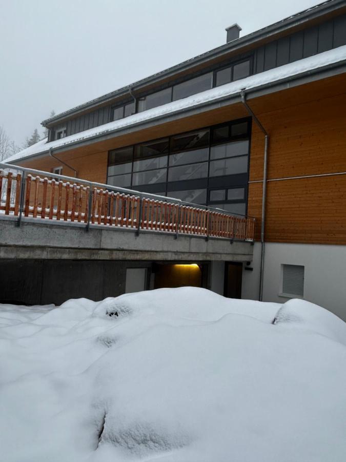 Feldberg Apartment - Direkt An Der Skipiste - Mit Sauna Exterior photo