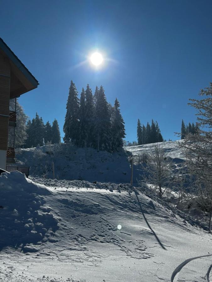 Feldberg Apartment - Direkt An Der Skipiste - Mit Sauna Exterior photo