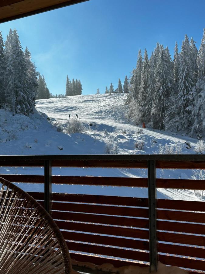 Feldberg Apartment - Direkt An Der Skipiste - Mit Sauna Exterior photo
